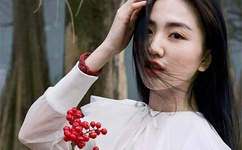 战斗陀螺第一部